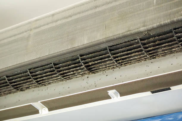 Best Residential Air Duct Cleaning  in Cocoa West, FL